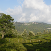 Article image for: Kotagiri, Tamil Nadu