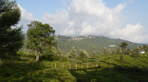 Kotagiri, Tamil Nadu