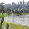 Article image for: Yercaud, Tamil Nadu