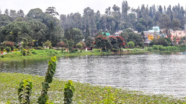 Yercaud, Tamil Nadu