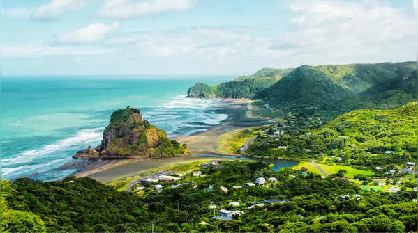 New Zealand – No native snakes