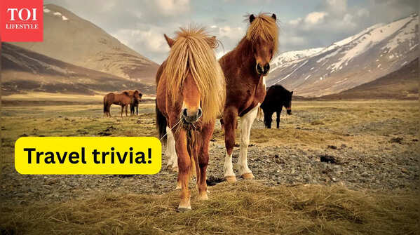 Travel trivia: 10 countries famous for what they don’t have