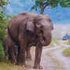 Stay at a wildlife resort near Jim Corbett National Park