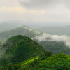 Article image for: Western Ghats, Multiple States