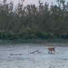 Article image for: Bengal at epicentre of PM pollution, Sundarbans under threat: 25-year study