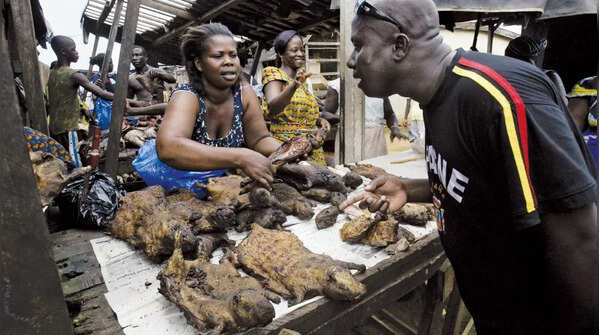 Avoid bushmeat and wild animals