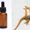 Why lemongrass oil might repel lizards