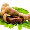 Article image for: What does <i class="tbold">ayurveda</i> say?