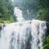 Article image for: Hebbe Falls in Karnataka
