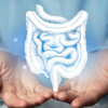 How does poor gut health affect everyday energy levels, fatigue, and productivity?