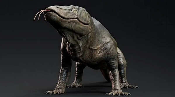 Dinosaurs and modern reptiles have closer ties than many believe