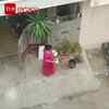 Article image for: Bengaluru Woman Wins Hearts with Kind Gesture