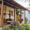 From sunlit spaces to vintage charm