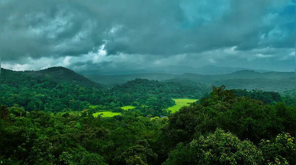 Coorg in Karnataka