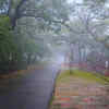 Mahabaleshwar, Maharashtra