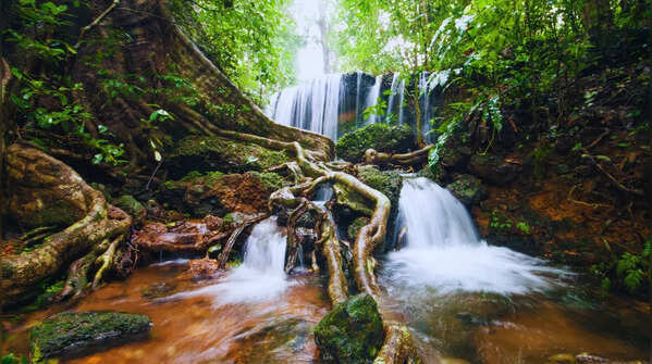 Agumbe, Karnataka