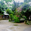 Mawlynnong, Meghalaya
