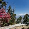 Chopta, Uttarakhand