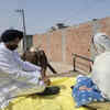 Article image for: <i class="tbold">war</i>ring rides bullock cart to cast vote in Muktsar