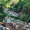 Article image for: Untreated sewage pollutes river; threatens water supply