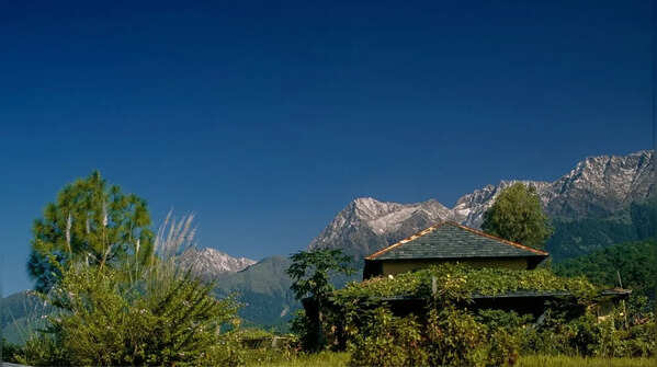 Palampur (Himachal Pradesh)