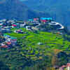 Dehradun (Uttarakhand)