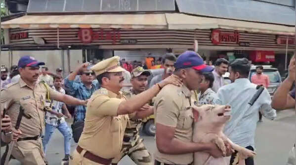 The viral pig video intensified tensions further