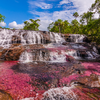 Caño Cristales, Colombia