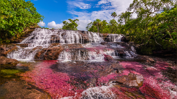 Caño Cristales, Colombia