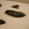 Article image for: Scientists finally discovered who made these mysterious 45,000-year-old Ice Age tools