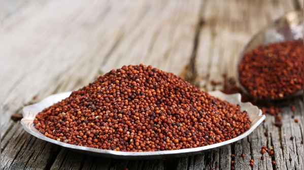 Ragi and millets: The quiet strength builders