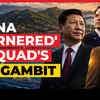 Article image for: Quad's Fiji Gambit: Why China Feels 'Cornered' By An Indo-Pacific Island 500 Times Smaller Its Size