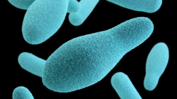 What is botulism?