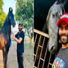 Article image for: <i class="tbold">ravindra jadeja</i> – Bungalow in Jamnagar