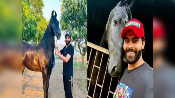 Ravindra Jadeja – Bungalow in Jamnagar
