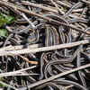 Piled-up wood, unused bricks, and roofing materials