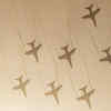 Article image for: India’s Air Ambassadors