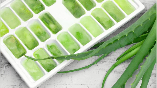 Aloe vera ice cubes
