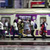 Harbour line AC expansion triggered huge rush