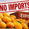 Article image for: Setback for Indian mango exports! Why Japan has stopped imports of Kesar, Alphonso, Langra & other varieties from India