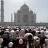 Article image for: Special Eid-ul-Adha Namaz Held At Taj Mahal Amid Tight Security Across Uttar Pradesh Cities