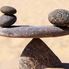 The Gita teaches emotional balance