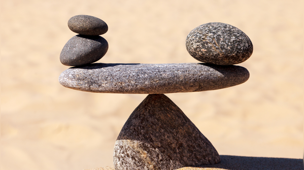 The Gita teaches emotional balance