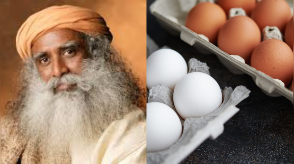 What happens when you eat eggs