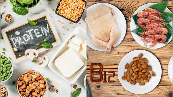 Importance of protein and vitamin B12