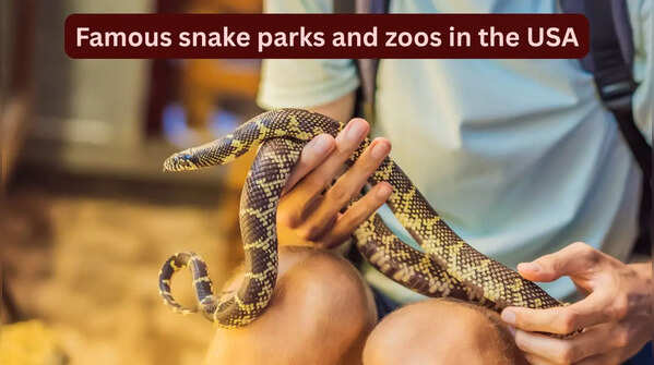 10 famous snake parks and zoos in the USA every wildlife traveller should visit and how to reach here