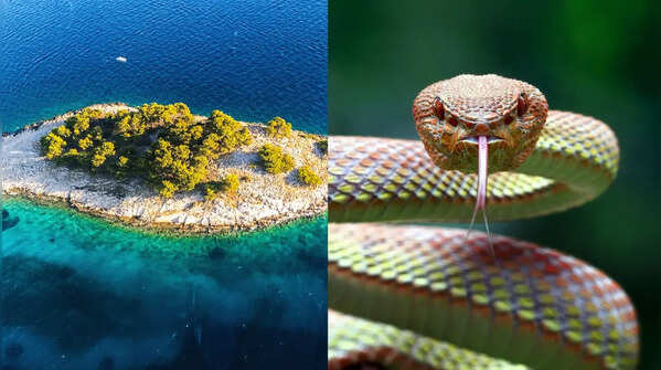 Discovering India’s only snake-free region