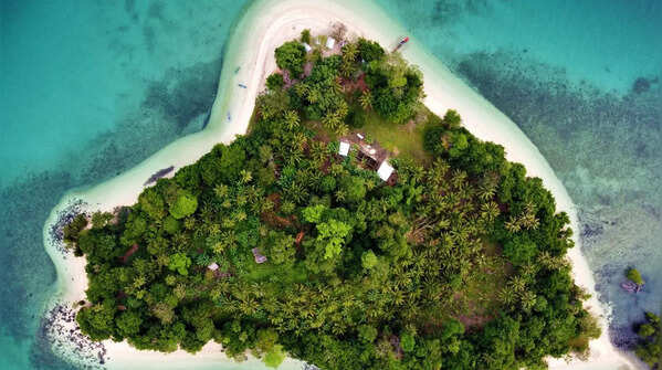 Why there are no snakes on the Islands