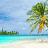 A special thing about Lakshadweep 