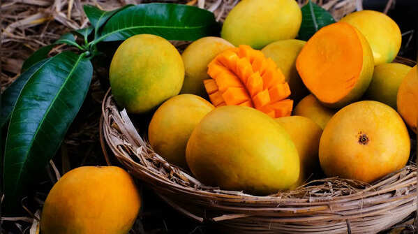 Why Japan banned Indian mangoes: Here are the affected varieties